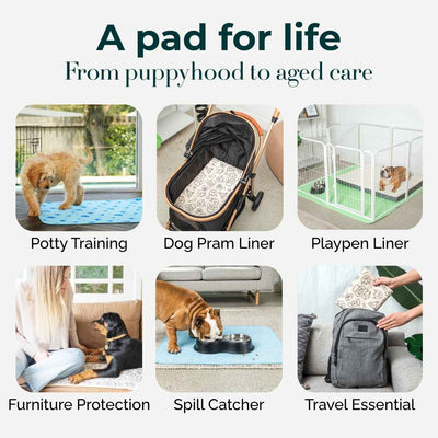 A collage showing multiple use cases for a pet pad: potty training, dog Pram liner, playpen liner, furniture protection, spill catcher, and travel essential. The top text reads 'A pad for life From puppyhood to aged care.