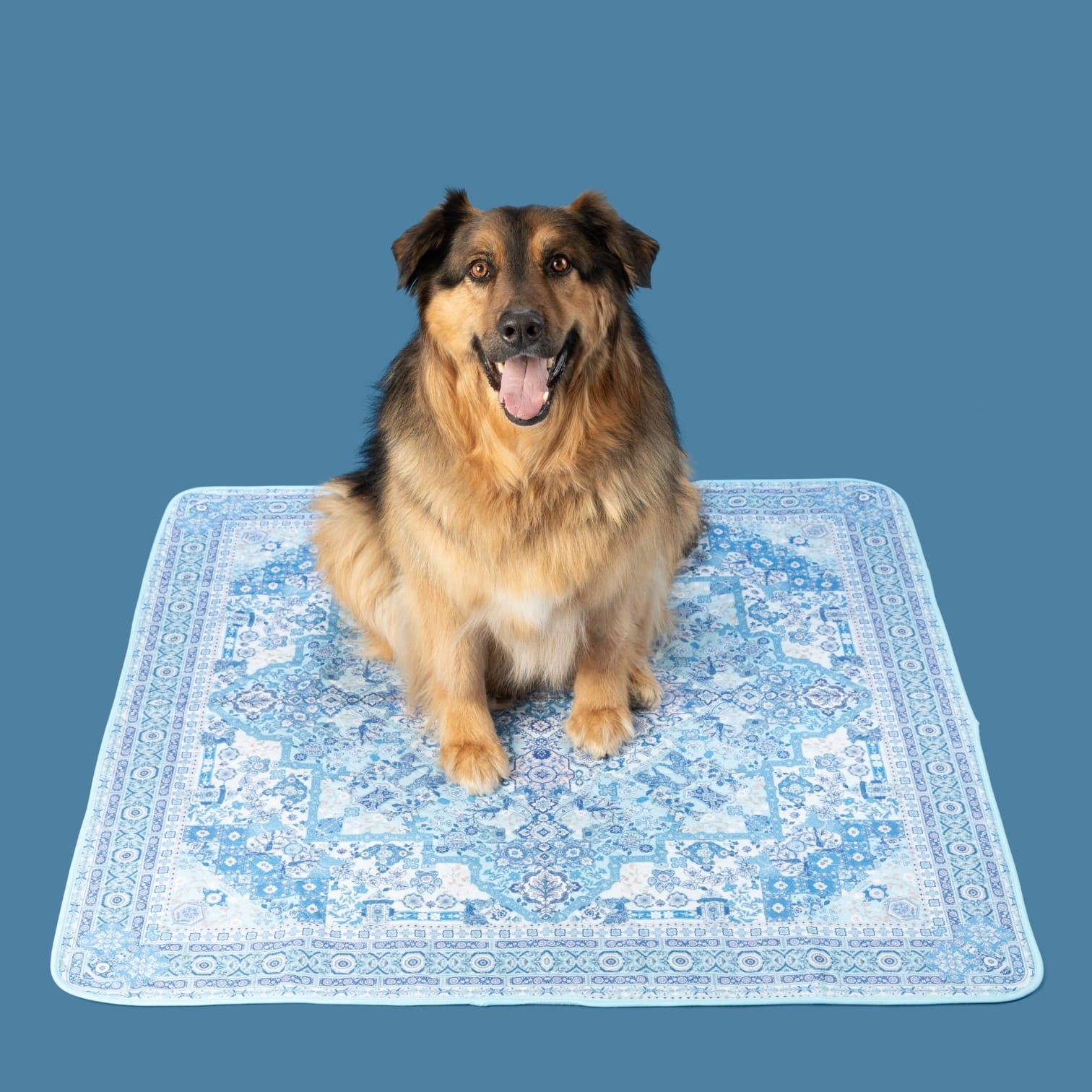 A dog sitting on a Persian Rug inspired blue potty pad