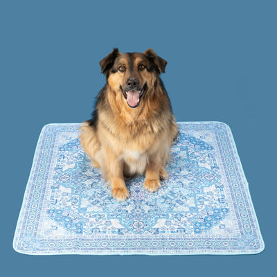 A dog sitting on a Persian Rug inspired blue potty pad