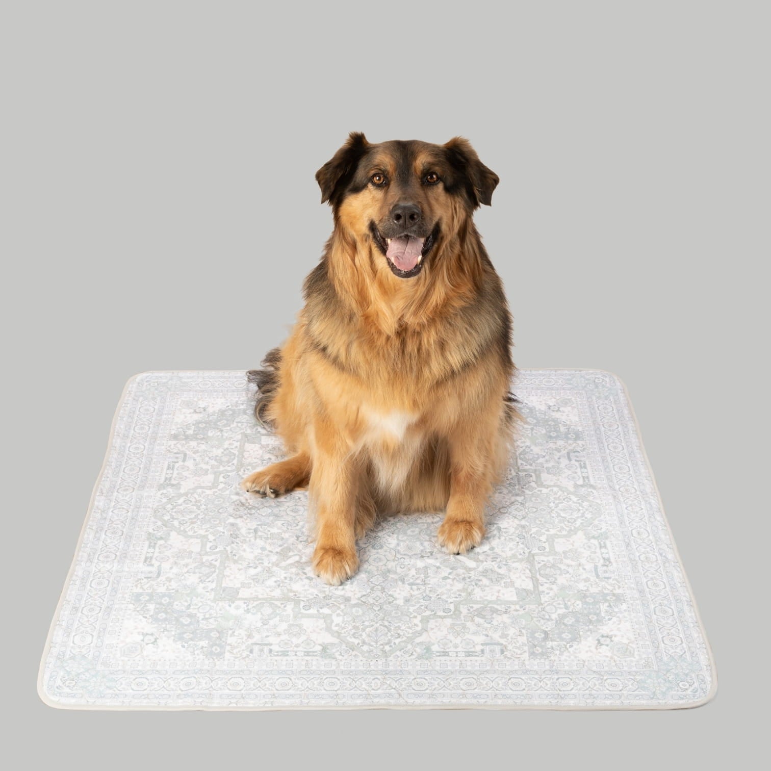 A dog sitting on a Persian Rug inspired gray potty pad