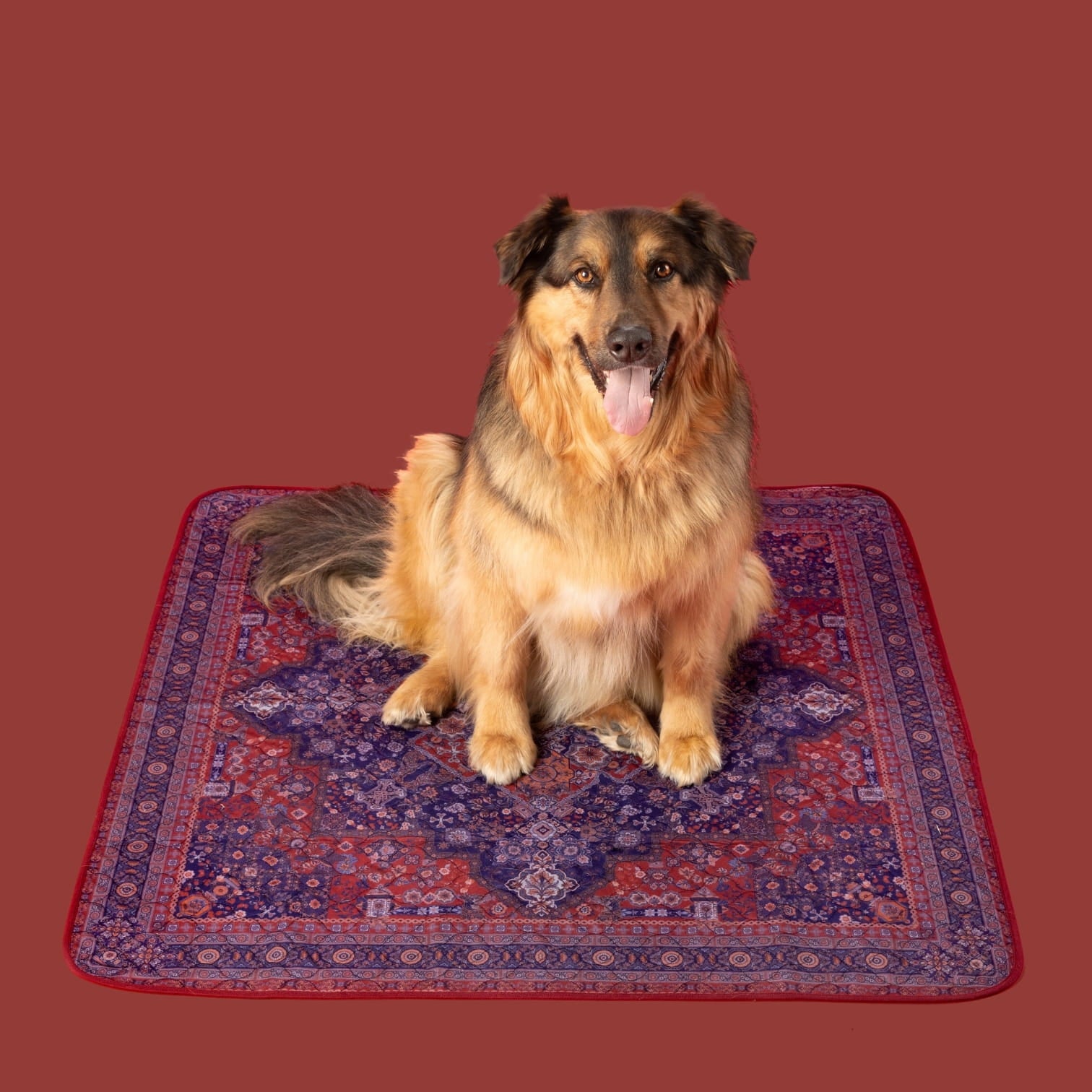 A dog sitting on a Persian Rug inspired red potty pad