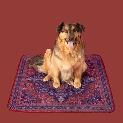 A dog sitting on a Persian Rug inspired red potty pad