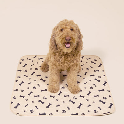 A golden doodle dog sitting on a beige potty pad with a pattern of cartoon dogs.