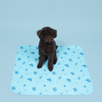 Potty Buddy™ - Reusable Leak-Free Potty Pads