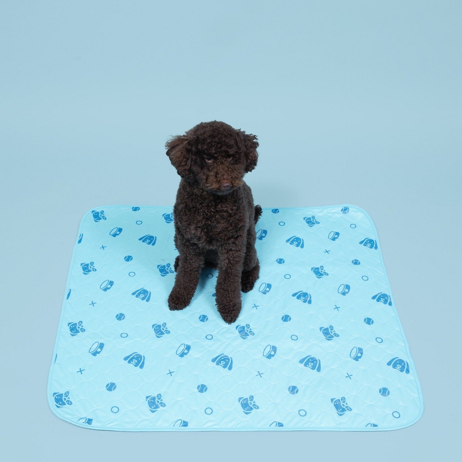 Potty Buddy™ - Reusable Leak-Free Potty Pads