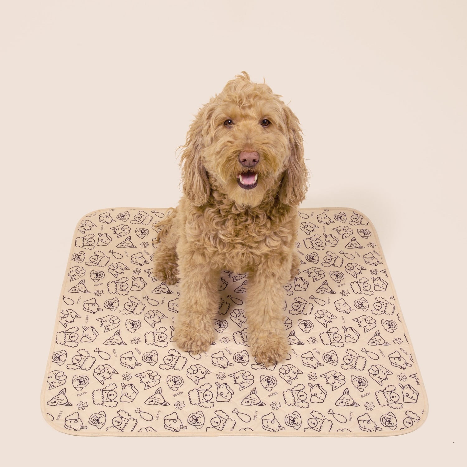 A golden doodle dog sitting on a beige potty pad with a pattern of cartoon dogs.