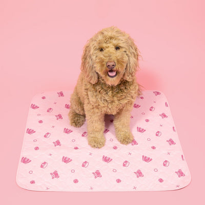 Potty Buddy™ - Reusable Leak-Free Potty Pads