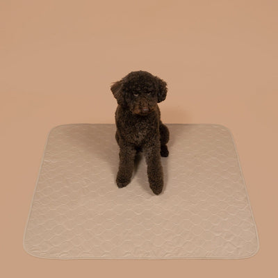 Potty Buddy™ - Reusable Leak-Free Potty Pads
