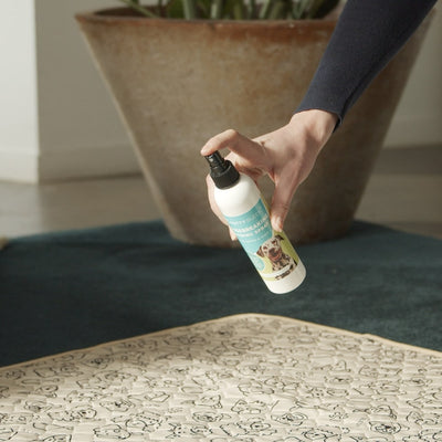 A hand spraying the Potty Buddy Housebreaking Training Spray onto a reusable pee pad