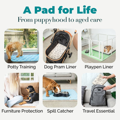 A collage showing multiple use cases for a pet pad: potty training, dog Pram liner, playpen liner, furniture protection, spill catcher, and travel essential. The top text reads 'A pad for life From puppyhood to aged care.