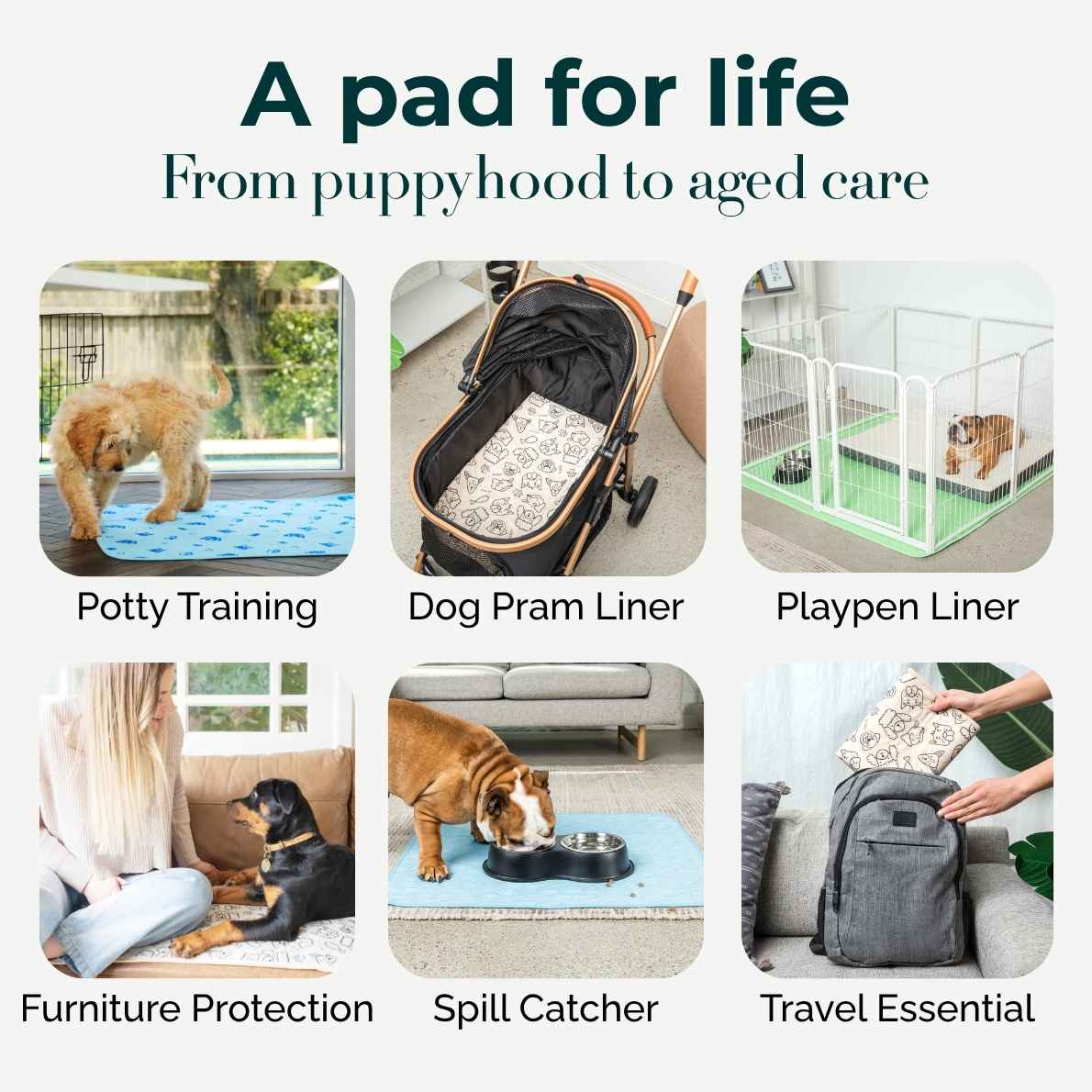 A collage showing multiple use cases for a pet pad: potty training, dog Pram liner, playpen liner, furniture protection, spill catcher, and travel essential. The top text reads 'A pad for life From puppyhood to aged care.