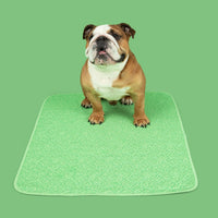 Potty Buddy™ - Reusable Leak-Free Potty Pads