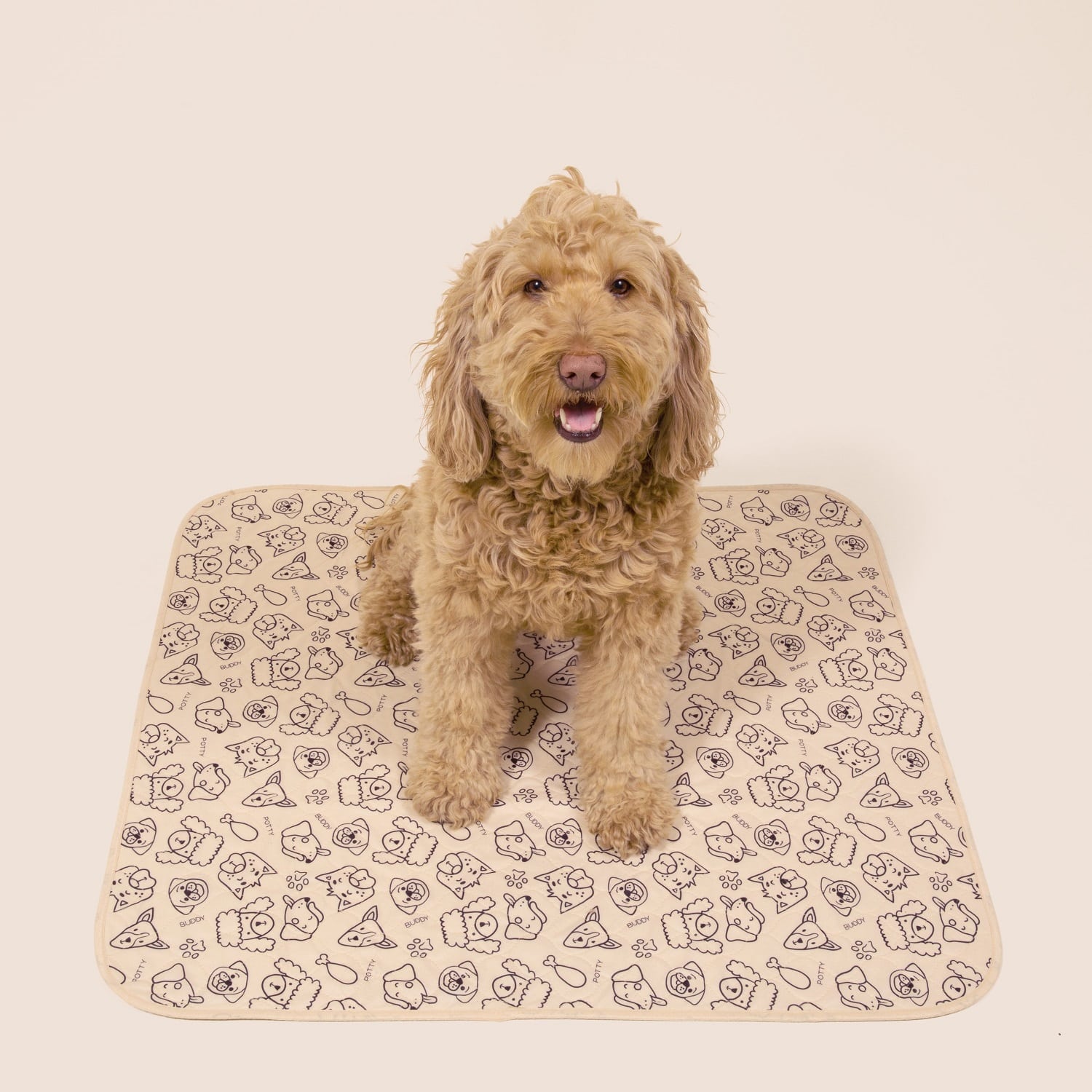 Dog Door Mat, Ultra Absorbent Dog Mat, Waterproof Dog Bowl Mat