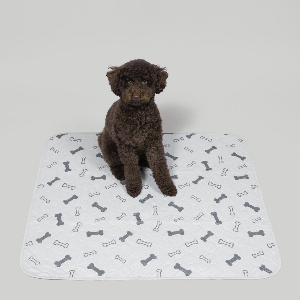 Washable Pee Pads For Large Dogs – Potty Buddy