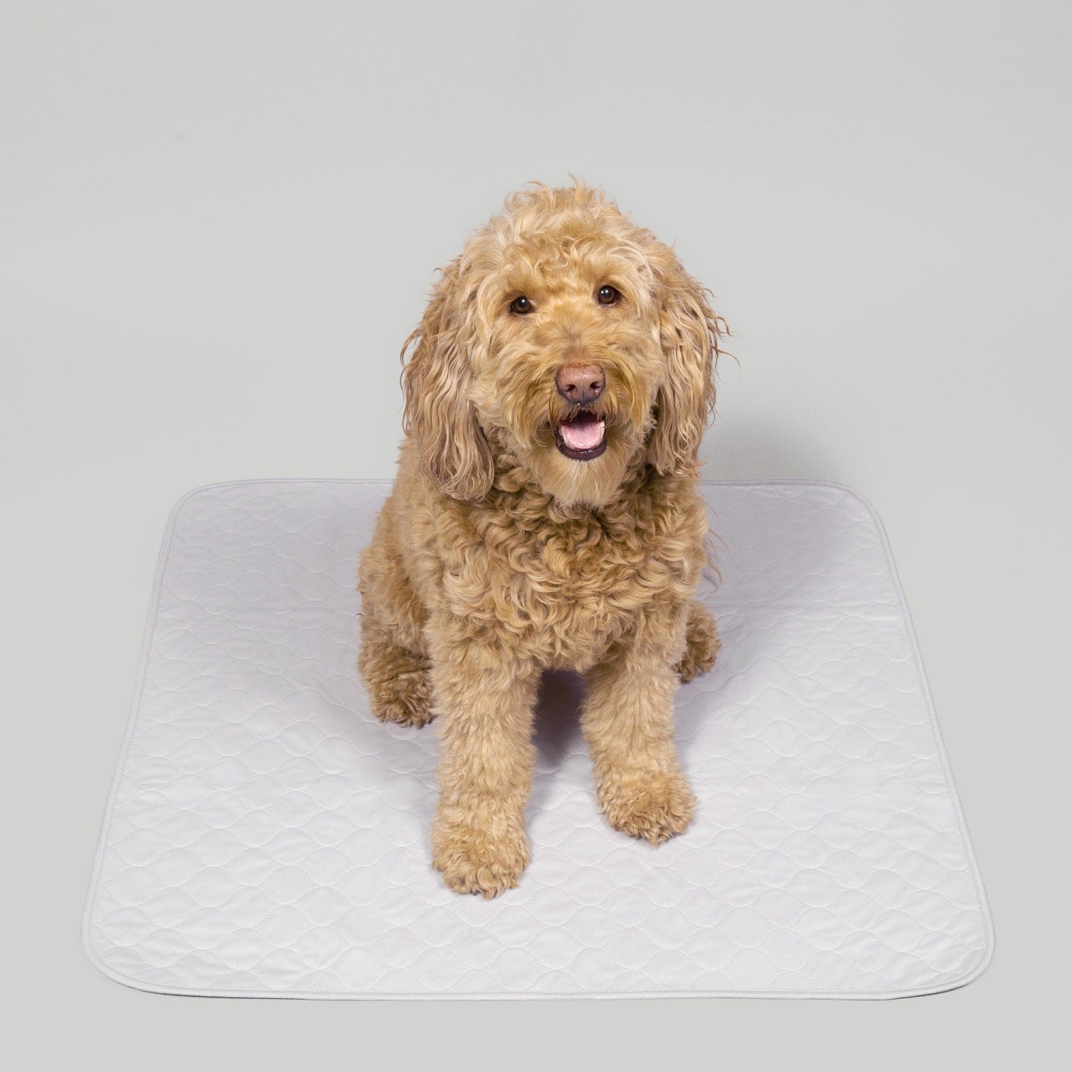 Waterproof Dog Food Mat Washable Dog Pee Pads Non-slip Absorbent Dog Bowl  Mat Large Washable Puppy Pee Pads for Dogs Doggy Cats Reusable 