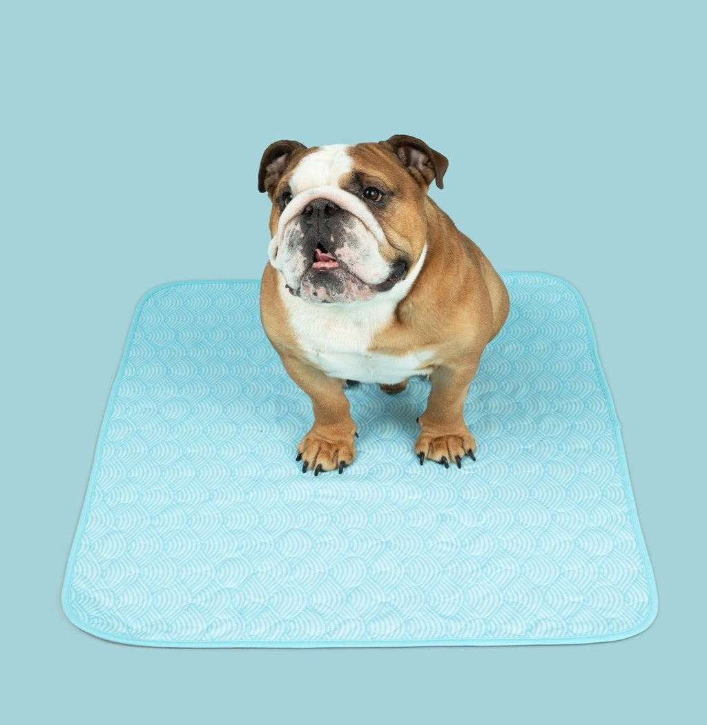 Potty Buddy - Reusable Pet Pad - Waves - X-Large (35x32)