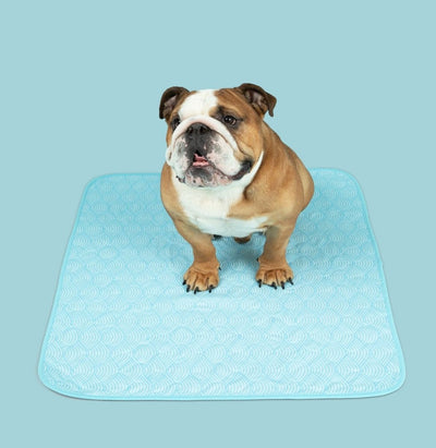 Washable Pee Pads For Large Dogs – Potty Buddy